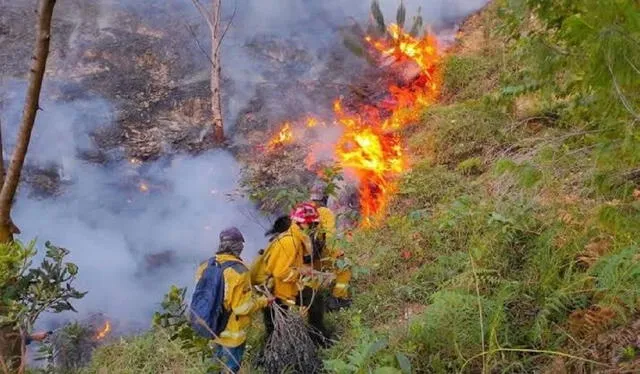  Bomberos intentan apagar las llamas. Foto: Ayabaca noticias    