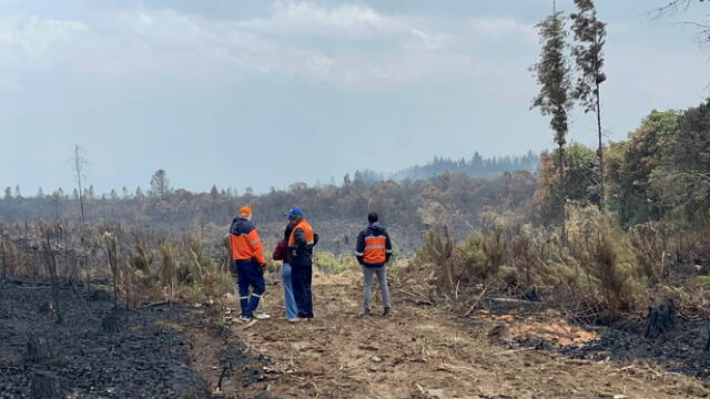  El incendio en el cerro San Pablo, en San Fernando, ya fue liquidado, según informó la Secretaría de Gestión de Riesgos. Foto: Extra Ecuador   