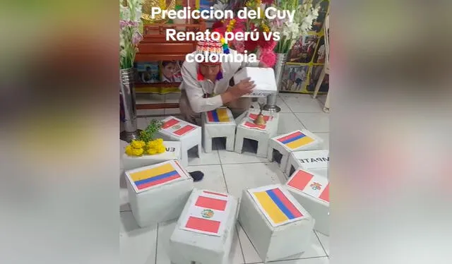  Hinchas peruanos esperan que la selección nacional gane a Colombia para seguir sumando puntos a la Bicolor. Foto: composición LR/TikTok   