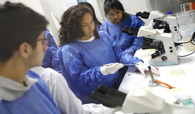  Un gran porcentaje de profesionales desaprobaron el examen de Serums. Foto: La República    