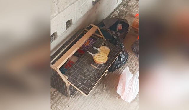  El clip inspiró a otros a pensar en maneras creativas de hacer negocios, incluso en los entornos más inesperados. Foto: composición LR/TikTok   