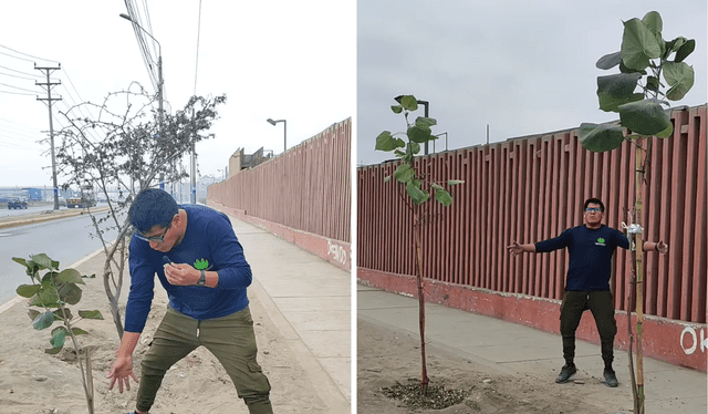  Ha abierto una convocatoria para el 15 de setiembre. Foto: Jardines Meyips/Instagram   