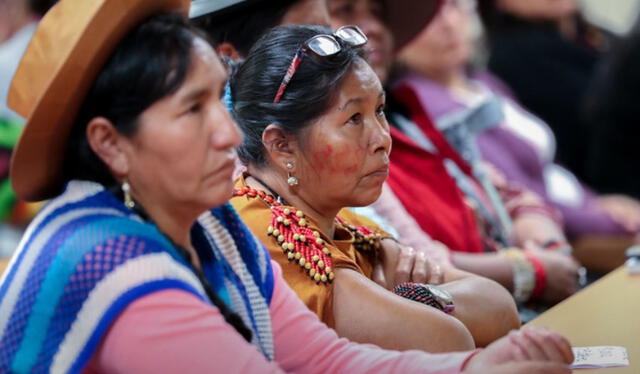  Las placentas de las madres peruanas son más finas para que el feto pueda recibir oxígeno. Foto: Andina.<br><br>    