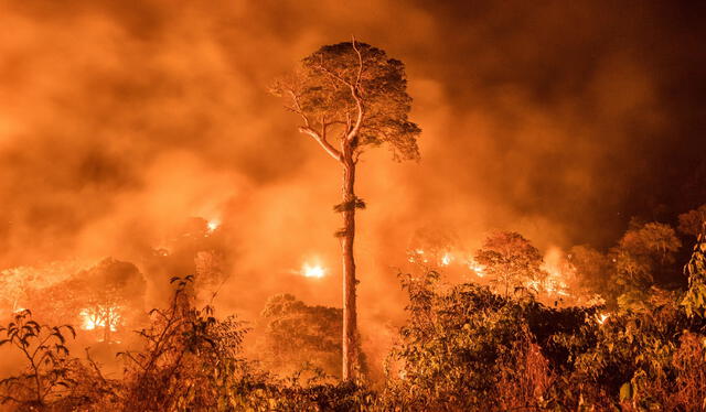 Sudamérica bajo fuego a tres meses de terminar el 2024. Foto: DW   