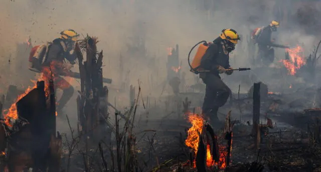 Brasil es el país más afectado por los incendios forestales. Foto: Telemundo   