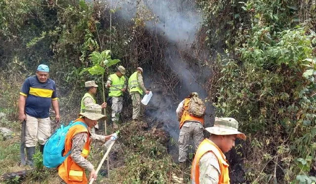  Personal intentan apagar incendio forestal. Foto: La Lupa    