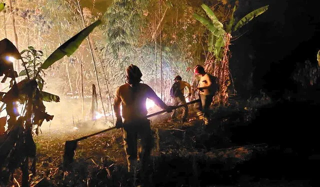 Incendio forestal en Madre de Dios