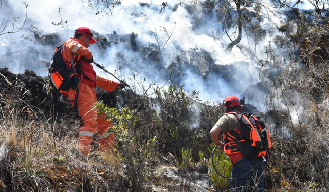 Trabajan para apagar incendio forestal en Perú