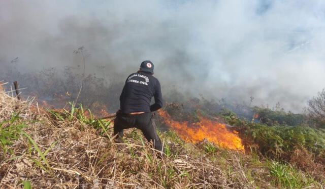 Incendio forestal se registra en la selva peruana