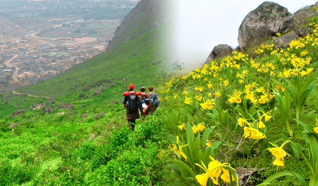 Durante la primavera las flores se abren. Foto: La República   