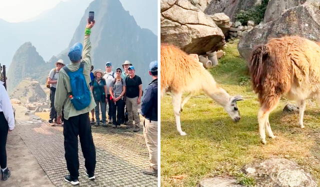  El extranjero no se arrepintió de su adquisición a pesar de que los visitantes no usan este tipo de prendas en Machu Picchu. Foto: composición LR/TikTok/@soyelarturito   