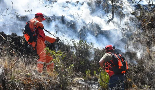 Incendios forestales en Perú dañan cultivos y fauna.