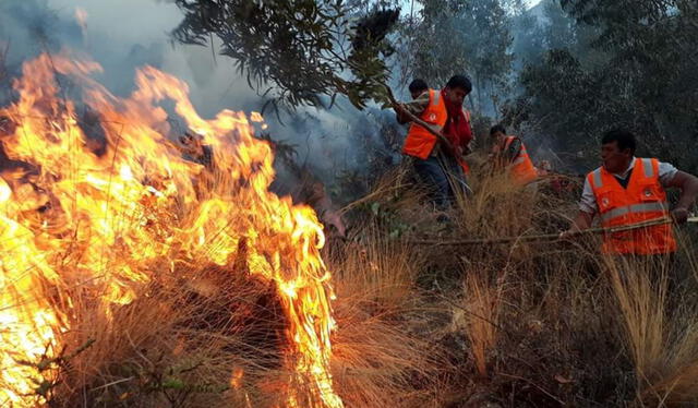 Incendios forestales en Perú