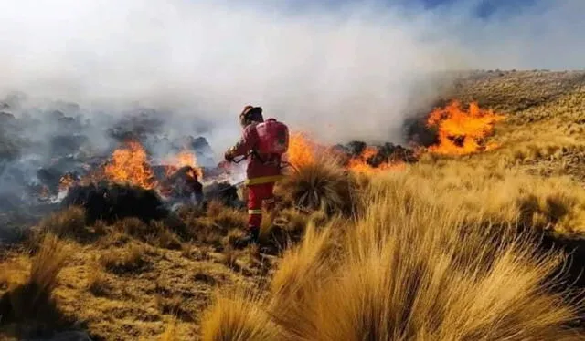 Lluvias podrían ayudar a apagar incendios forestales