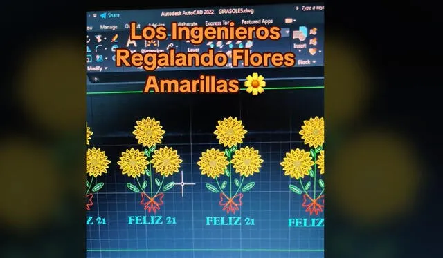  La tradición de regalar flores amarillas se extiende por el mundo con la bienvenida a la primavera. Foto: TikTok    