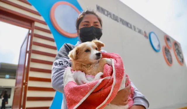 Campaña veterinaria gratuita en Lima y provincias