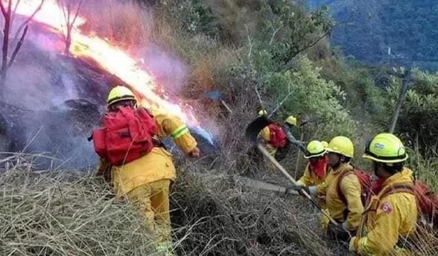 Bomberos luchan por sofocar incendios forestales. Foto: difusión   