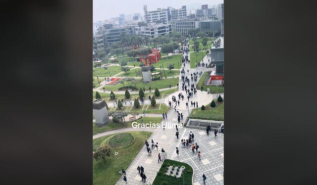 Vista desde baño de la Ulima. Foto: TikTok   