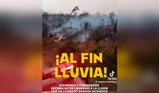  Los incendios forestales han generado gran destrucción de la flora y fauna peruana. Foto: composición LR/X/@elbuho   