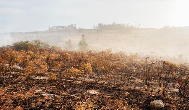  Incendios forestales en Luya, Amazonas. Foto: Municipalidad de Luya-Lámud/Facebook   