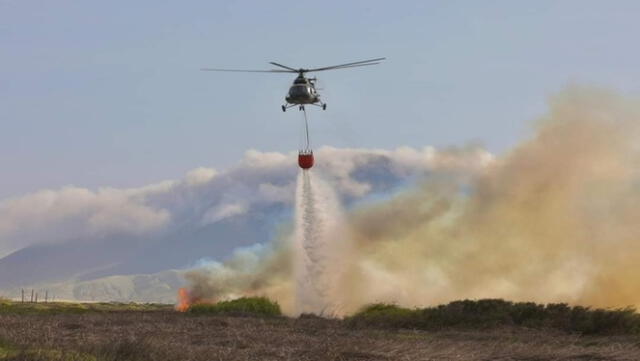 Pese a los esfuerzos por apagar las llamas, los incendios continúan devastando gran cantidad de vegetación.    