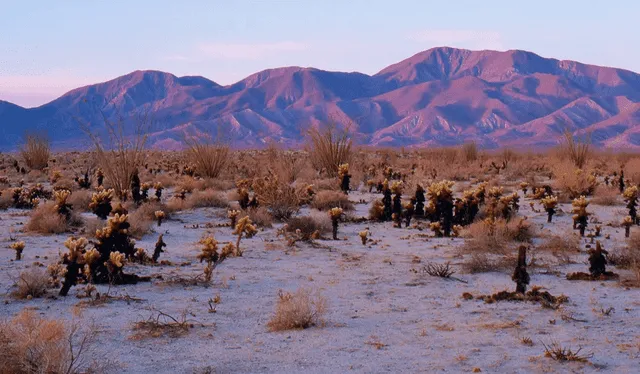  El Parque Estatal de Anza Borrego es uno de los parques con menos reconocimiento en el estado. Foto: Visit California   