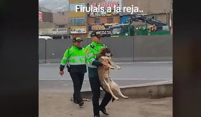 Hecho acumula cientos de vistas en redes. Foto: TikTok   