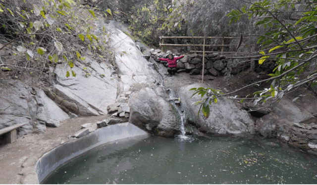  Selva escondida de San Juan de Lurigancho. Foto: Difusión   