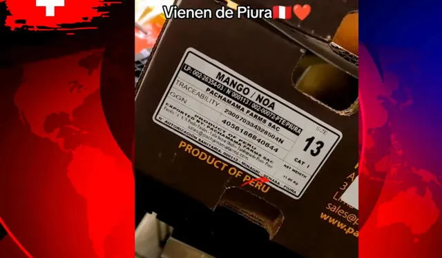 Mango peruano, precisamente de Piura, generó furor en Suiza. Foto: captura YouTube    