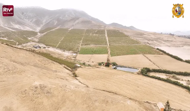  Son 45 hectáreas que tendrá este nuevo campus. Foto: captura de pantalla/RTV San Marcos/YouTube   