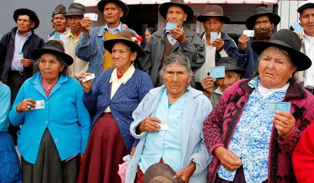  El Perú ha enfrentado dificultades para hacer frente a la pandemia y a la precariedad del sector salud. Foto: Andina   