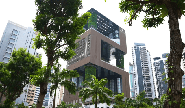 A pesar de estar ubicado en Orchard Road, una de las calles comerciales más concurridas de Singapur, el hotel logra ofrecer un ambiente tranquilo y relajado. Foto: CNA Luxury   