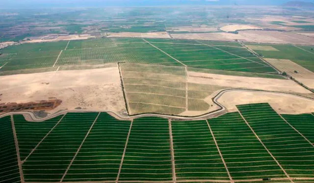 Proyectos apuntan a diversos sectores de producción. Foto: Agraria.pe   