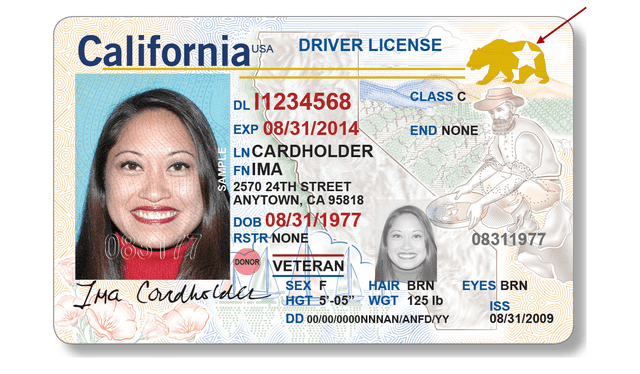  La identificación real cuenta con una estrella en la parte superior derecha, haciendo de este un documento auténtico. Foto: California DMV   