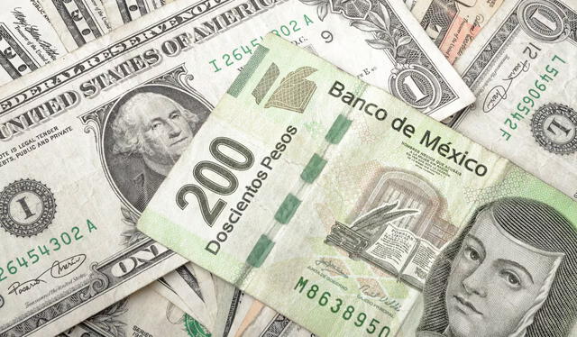  El dólar estadounidense se cotiza en 19.39 pesos mexicanos. Foto: Semana   