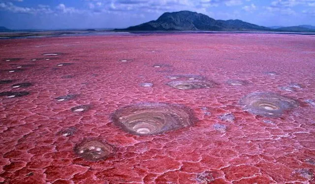 El lago Natrón alcanza temperaturas de 60 grados centígrados, con un pH alcalino que oscila entre 9 y 10,5, y contiene una elevada concentración de bicarbonato de sodio. Foto: Club Marco Polo   