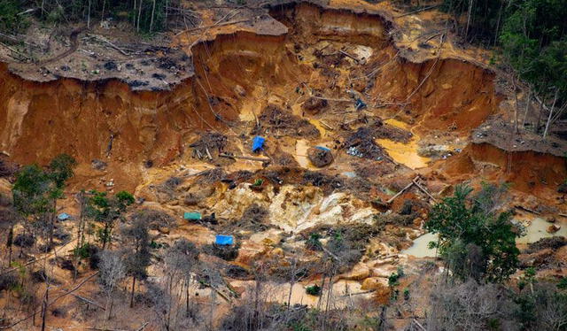 Reservas de oro en el Amazonas. Foto: Diario 16   