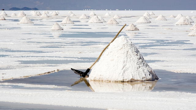  Las&nbsp;exportaciones de minerales&nbsp;de Argentina, un sector clave en la economía nacional. Foto: El economista argentina   