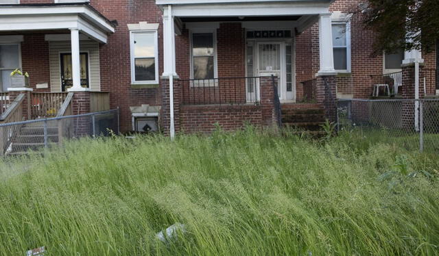 El programa Adopt a Lot, impulsado por el gobierno de Baltimore, tiene como objetivo central revitalizar los vecindarios abandonados de la ciudad y atraer a nuevos habitantes. Foto: Idealista   