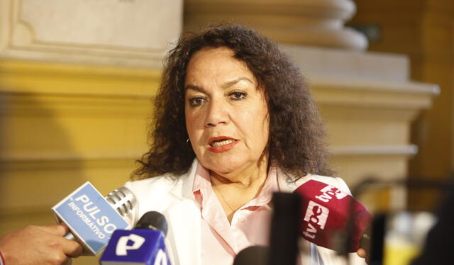  APP. María Acuña, presidenta de la Subcomisión   