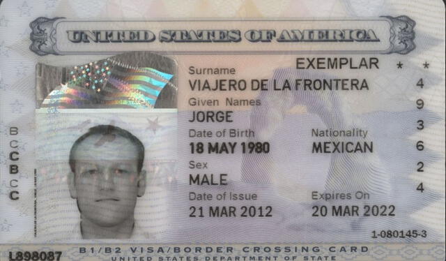 Visa láser o Tarjeta de cruce fronterizo. Foto: La Nación   