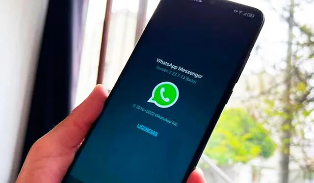  Guardar imágenes y videos de visualización única en WhatsApp puede ser útil en ciertas situaciones, pero es fundamental hacerlo con responsabilidad. Foto: La Nación   