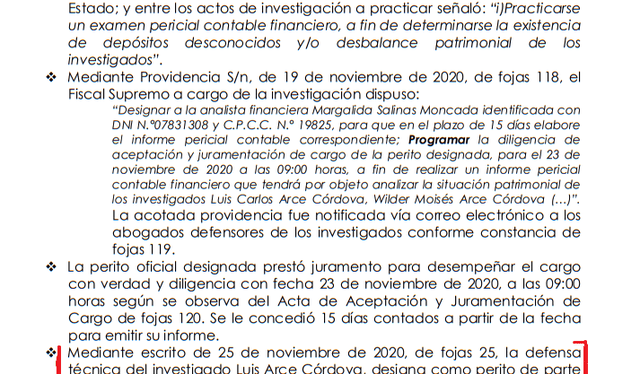 Resolución judicial deja constancia que Luis Arce designó a Jeri Ramón Ruffner como su perito de parte   