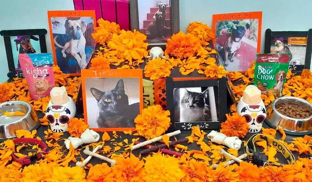  Las mascotas también son recordadas en el Día de los Muertos en México. Foto: X/juanfractal22  