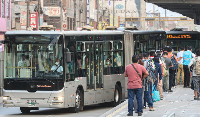 Viajes gratis en el Metropolitano