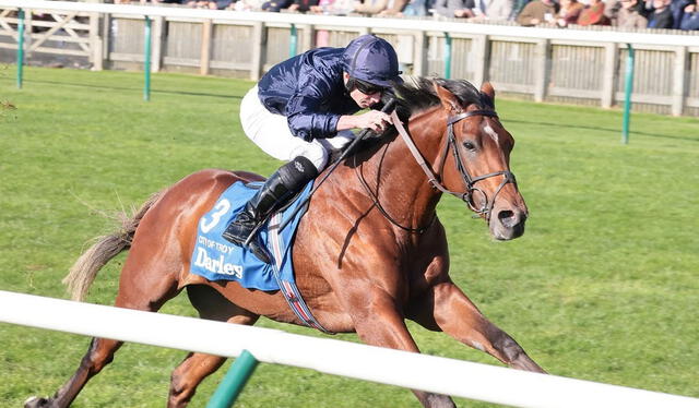 City of Troy, campeón de varios clásicos Grado I en Europa, es el gran favorito en el Breeder's Cup Classic. Foto: Racing TV   