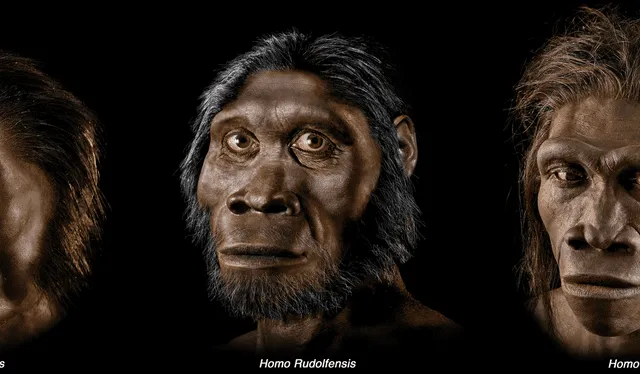 La evolución humana a través de diversos periodos. Foto: National Geographic   