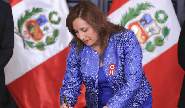 La presidenta Dina Boluarte aprobó una ley que podría perjudicarla   