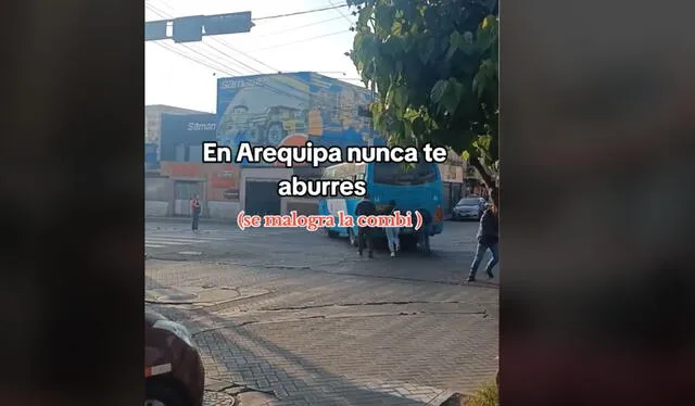 Clip es viral. Foto: TikTok    