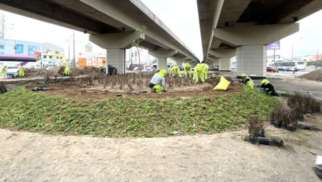 Recuperan áreas verdes en Lima